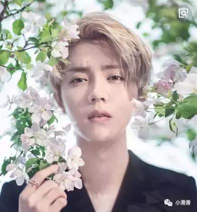 娱乐圈的四大钢铁直男,盘点娱乐圈的那些直男们