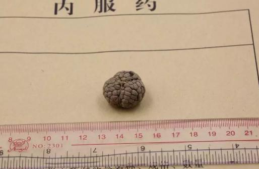 草豆蔻和肉豆蔻的区别是什么,肉豆蔻和草豆蔻区别