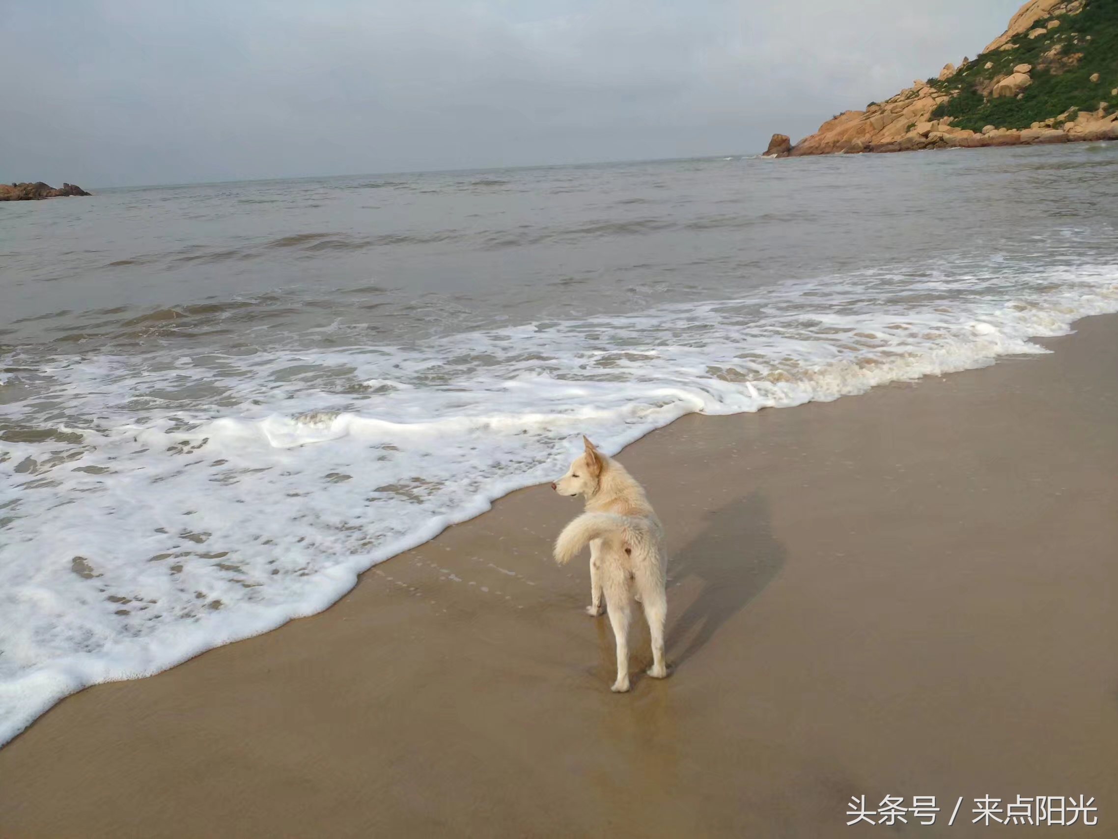 世界很大我很小完整版,江门台山浪琴湾基地