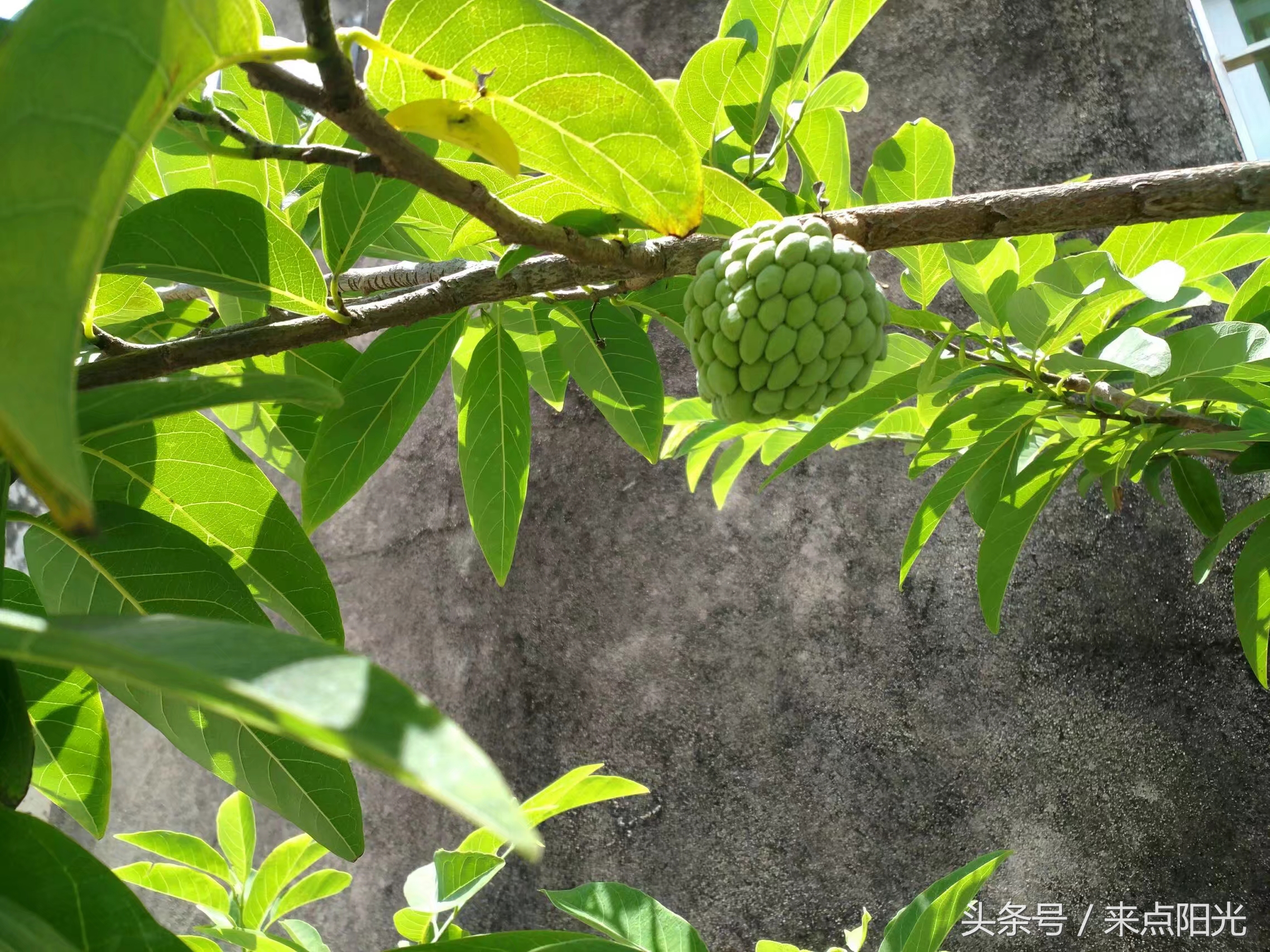 世界很大我很小完整版,江门台山浪琴湾基地