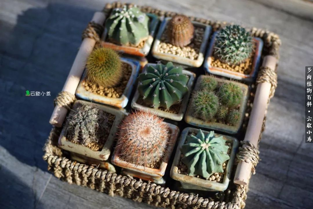 不负人间风月,不负人间风月创作的原声