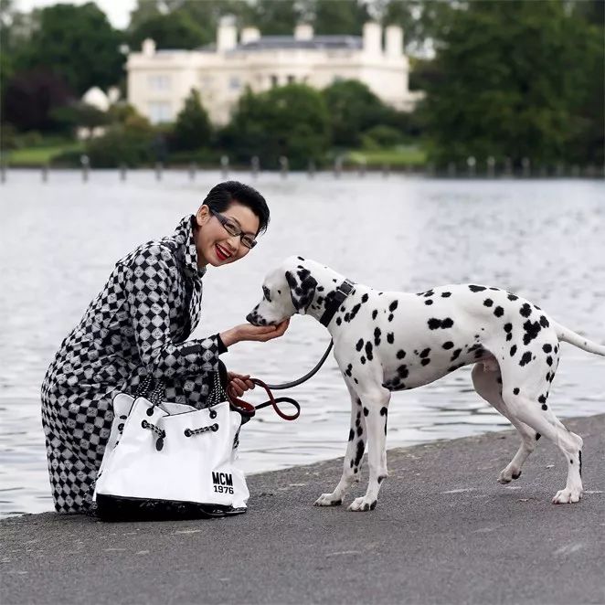 平凡和平庸是否有必然联系,平凡和平庸又有什么区别