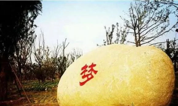 艺考生和普通考生哪个更有出路呢,艺考真的是条好出路吗