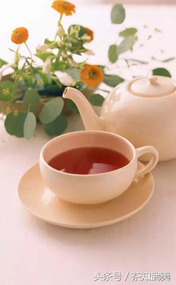 闻香识茶以茶会友,闻香识得茶滋味