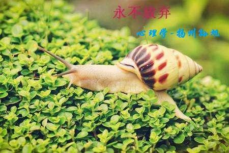 心理学社交恐惧症,恐惧症的心理分析