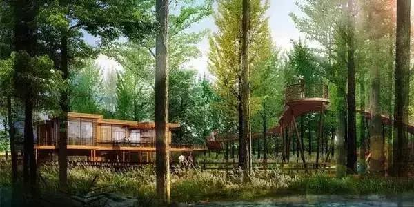 上海免费好玩的地方推荐带孩子,一日游适合带孩子玩的景点上海