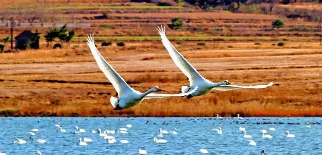 理科生浪漫起来是什么样子 (理科生真的不懂浪漫吗)