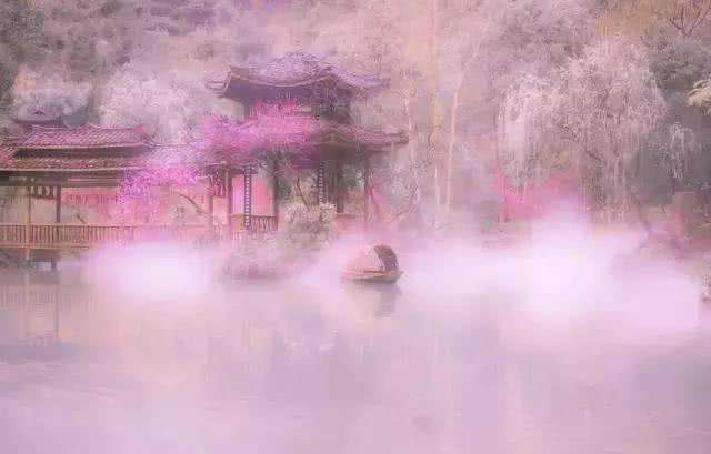 赏花小众景点,发现一处绝美赏花打卡地