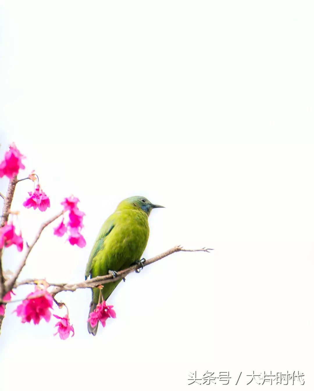 美丽中国摄影片段,38集美丽中国