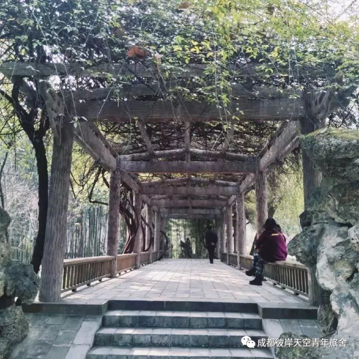 关于成都自驾游攻略的书,成都旅行全攻略3-4天自由行