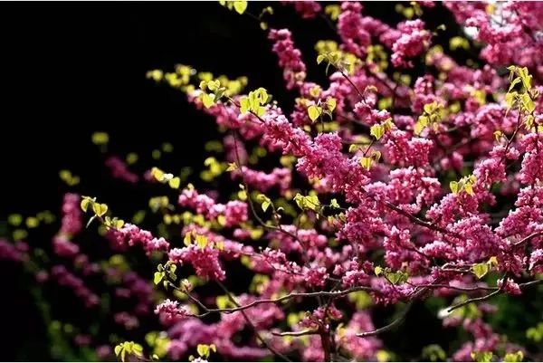 郑州一秒入夏的视频,民生大参考最新视频郑州一秒入夏