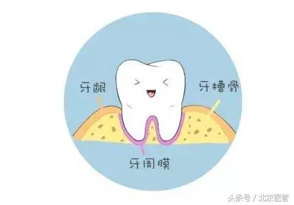 牙龈肿痛刷牙时出血啥原因,牙龈肿痛刷牙会出血吗