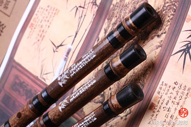 紫竹金丝竹罗汉竹这些有价值吗,毛竹与楠竹斑竹有什么区别