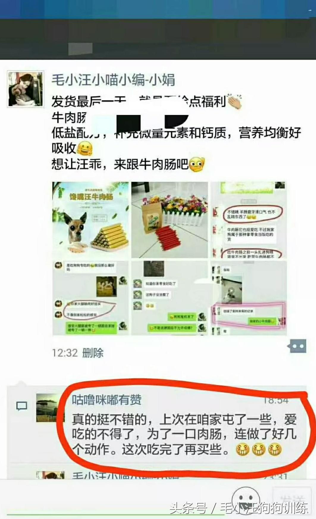 金毛狗狗合理的喂养方法,狗狗贪吃怎么训练