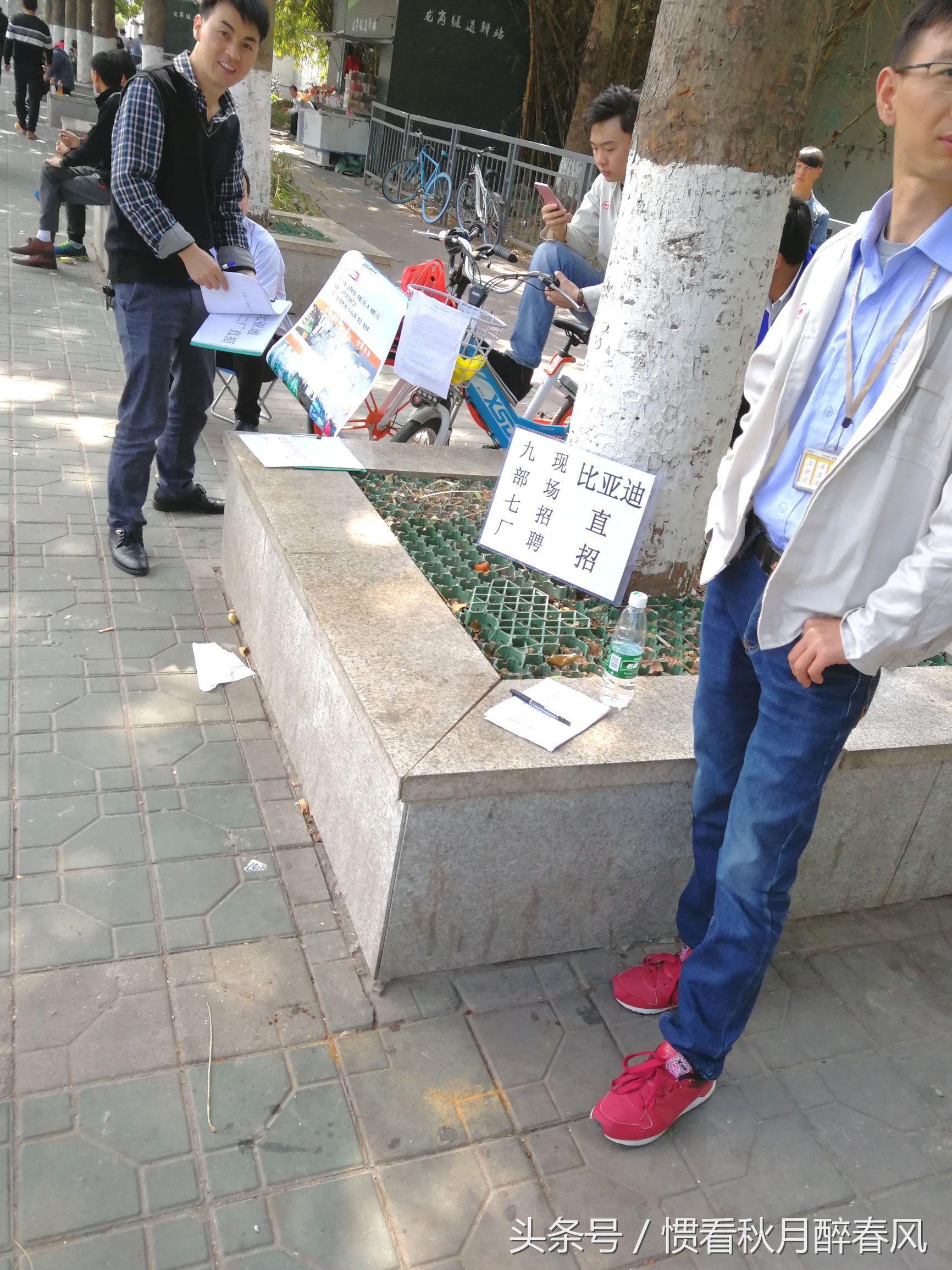 宝龙比亚迪招聘直招,宝龙比亚迪最新招工信息