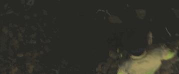 韩国上映的十部票房最高中国电影,韩国票房最高的电影前十名排行榜