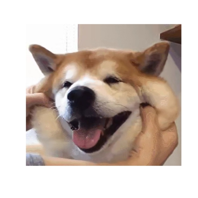 雅诗兰黛dw粉底液哪个色号最好用,雅诗兰黛dw粉底液真实测评色号