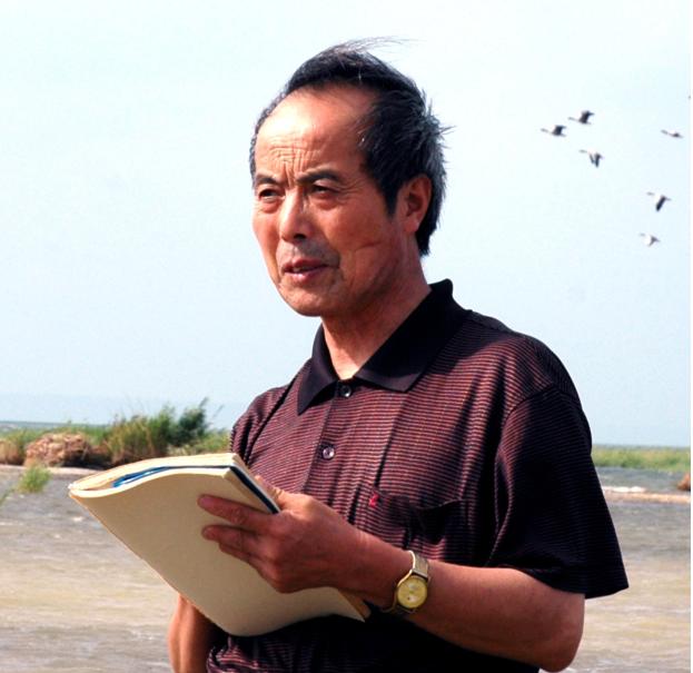 踏破铁鞋觅知音歌曲,踏破铁鞋