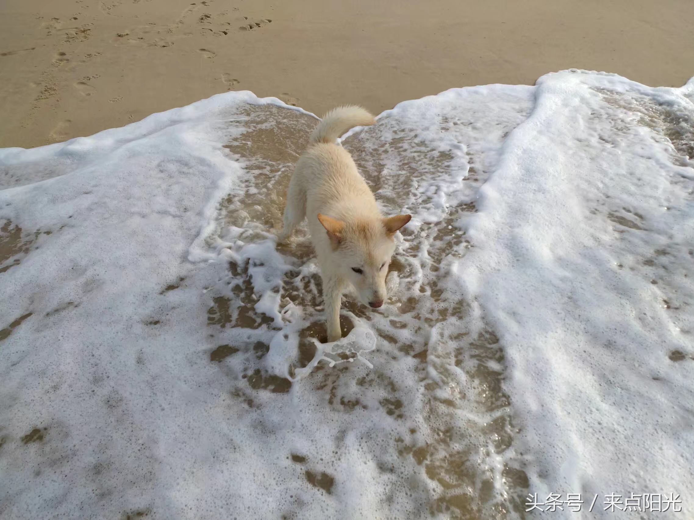 世界很大我很小完整版,江门台山浪琴湾基地