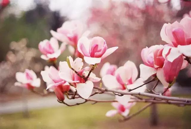 湖州这个季节去哪玩,湖州三月份适合去哪旅游