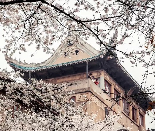 湖州这个季节去哪玩,湖州三月份适合去哪旅游