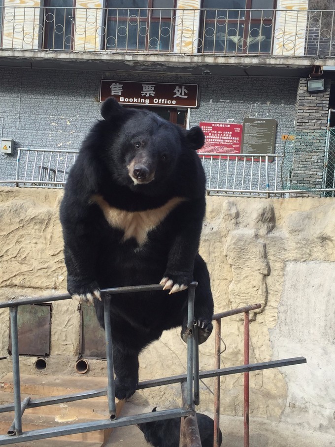 冬天去哪里旅游暖和特色美食,冬季游玩攻略美食推荐