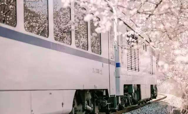 赏花小众景点,发现一处绝美赏花打卡地