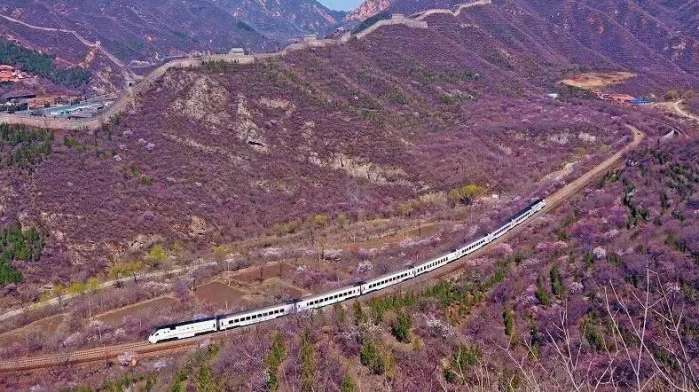 赏花小众景点,发现一处绝美赏花打卡地