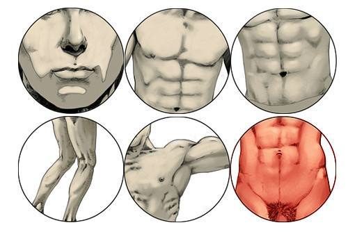 毛发种植有哪些风险,体毛种植后的效果