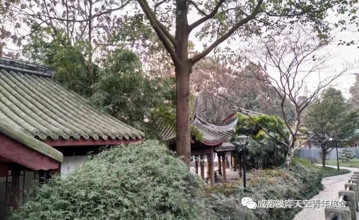 关于成都自驾游攻略的书,成都旅行全攻略3-4天自由行