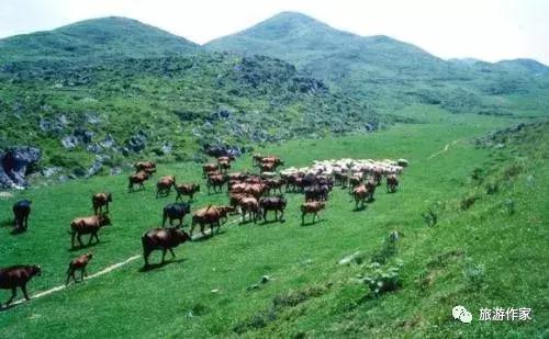 中国唯一的山峰,中国三大神山是哪三个山脉