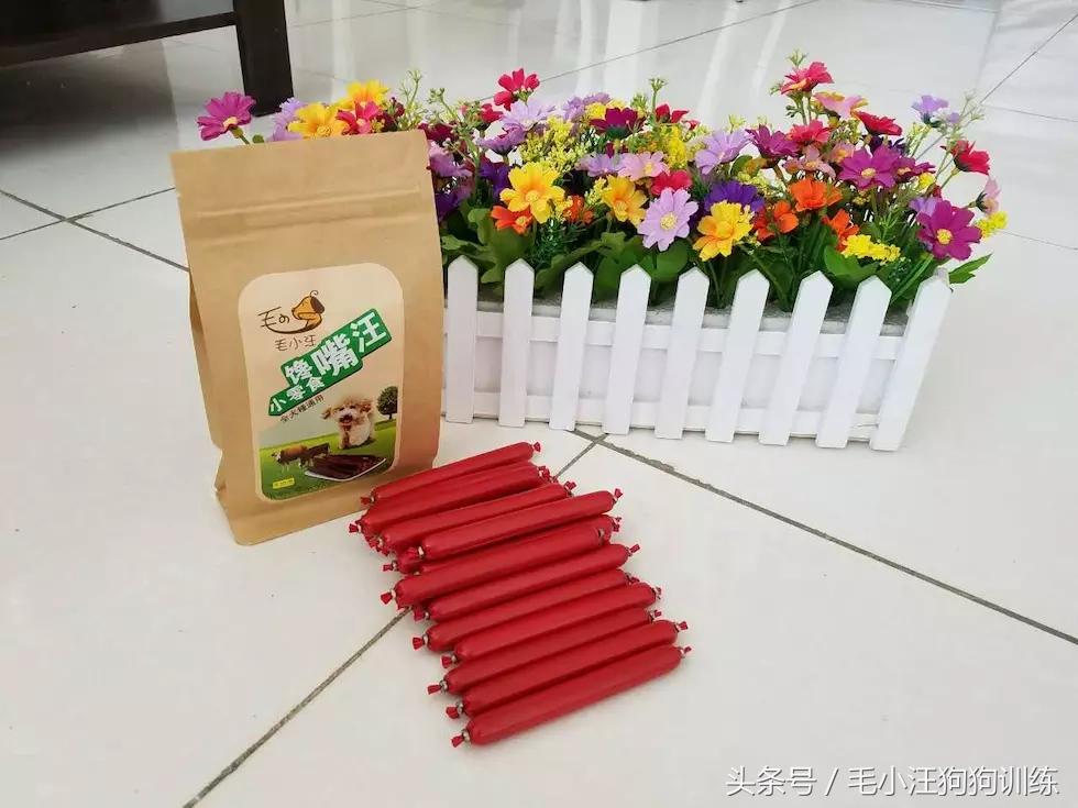 金毛狗狗合理的喂养方法,狗狗贪吃怎么训练