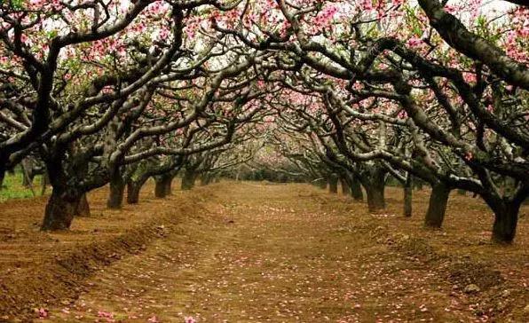 郑州中原路最新面貌,郑州市中原路升级改造