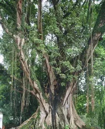 郑州中原路最新面貌,郑州市中原路升级改造