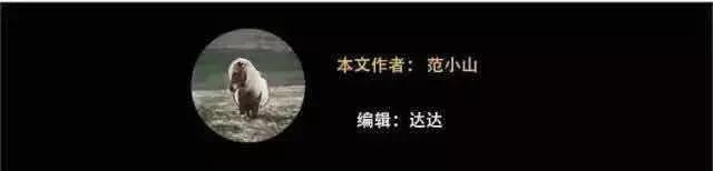 网红吉他手,教吉他网红