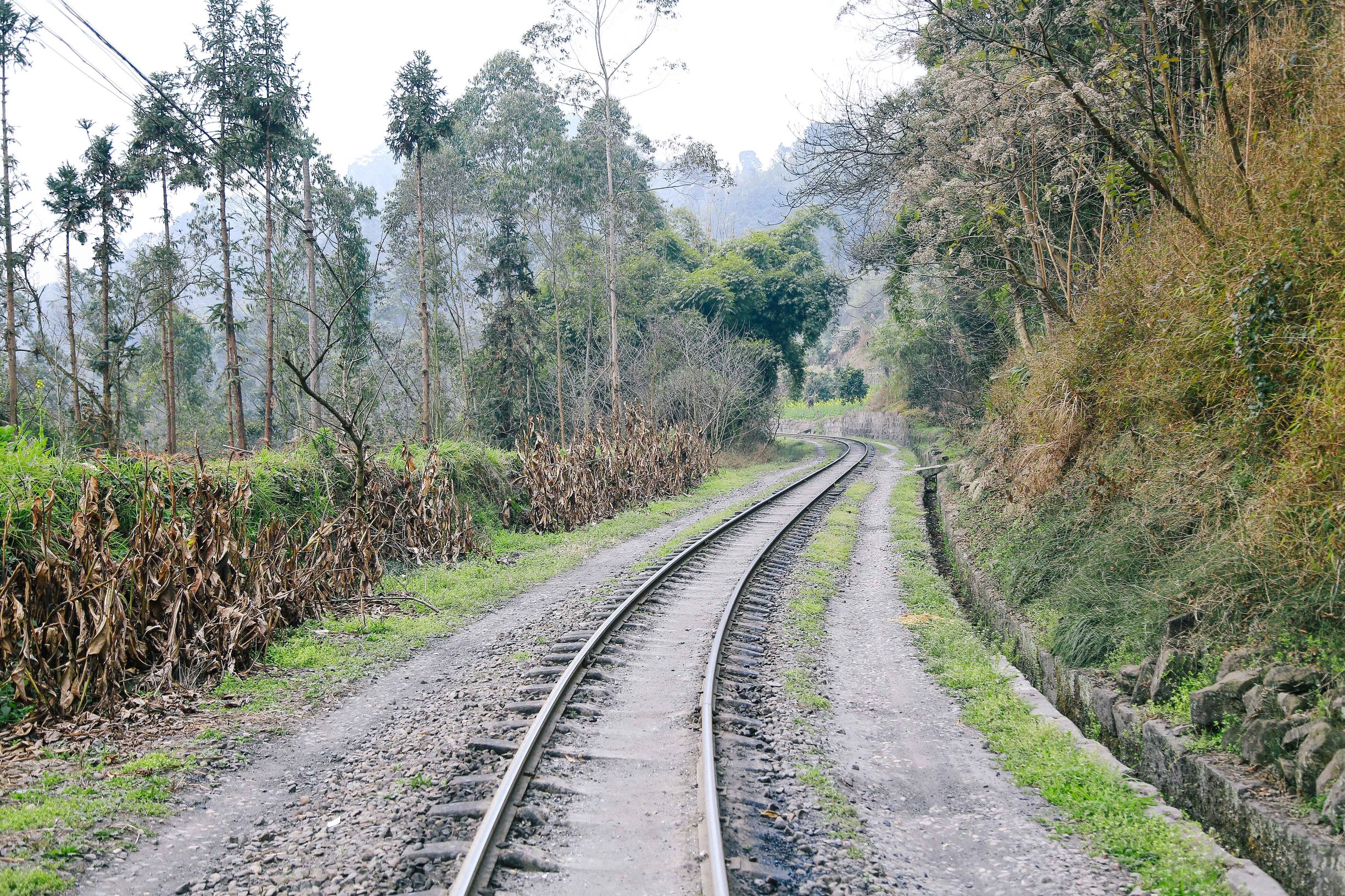 体验最贵的火车票一张票近5万,国内最贵火车却一票难求