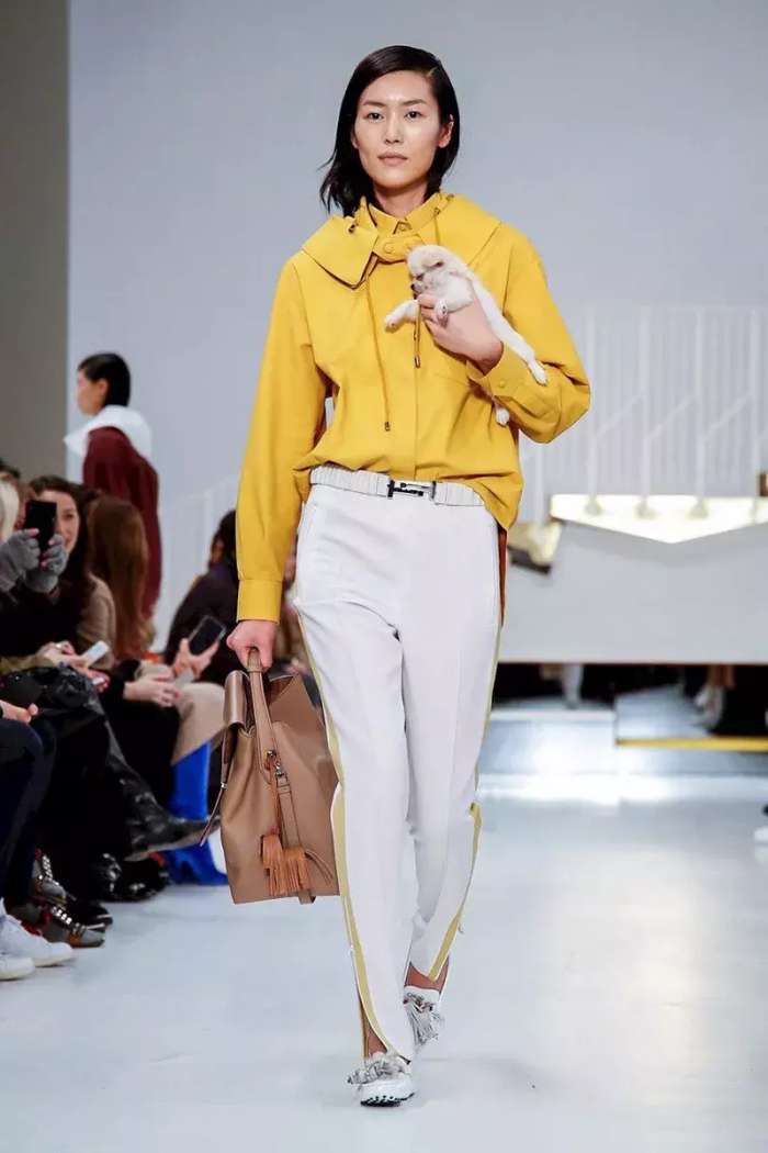 抱着狗狗走秀,抱着狗狗模特走秀视频