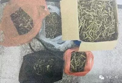 包治百病！三明街头又现“神奇草药”！*子骗**演“双簧”诈骗被判刑