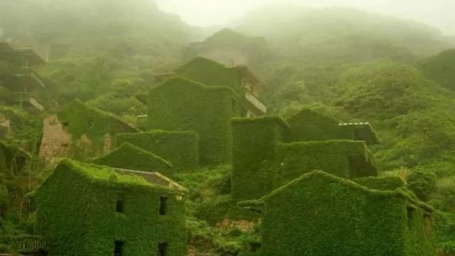 现实中的绿野仙踪,现实中真实版绿野仙踪