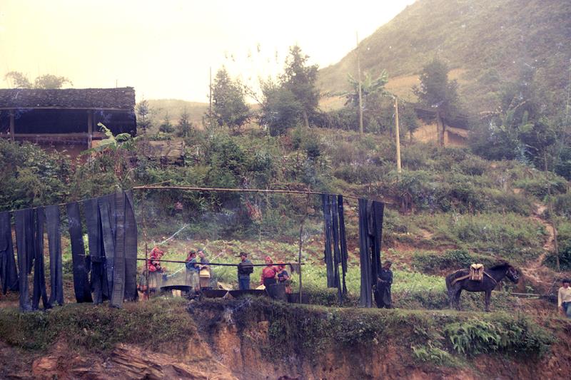 云南赶街场面描写,云南赶街赶集视频