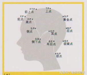 美发头部分区图,理发时头部分区名称