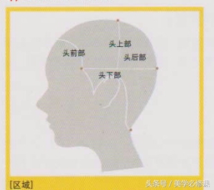 美发头部分区图,理发时头部分区名称