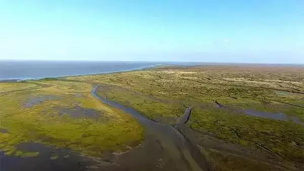上海免费好玩的地方推荐带孩子,一日游适合带孩子玩的景点上海