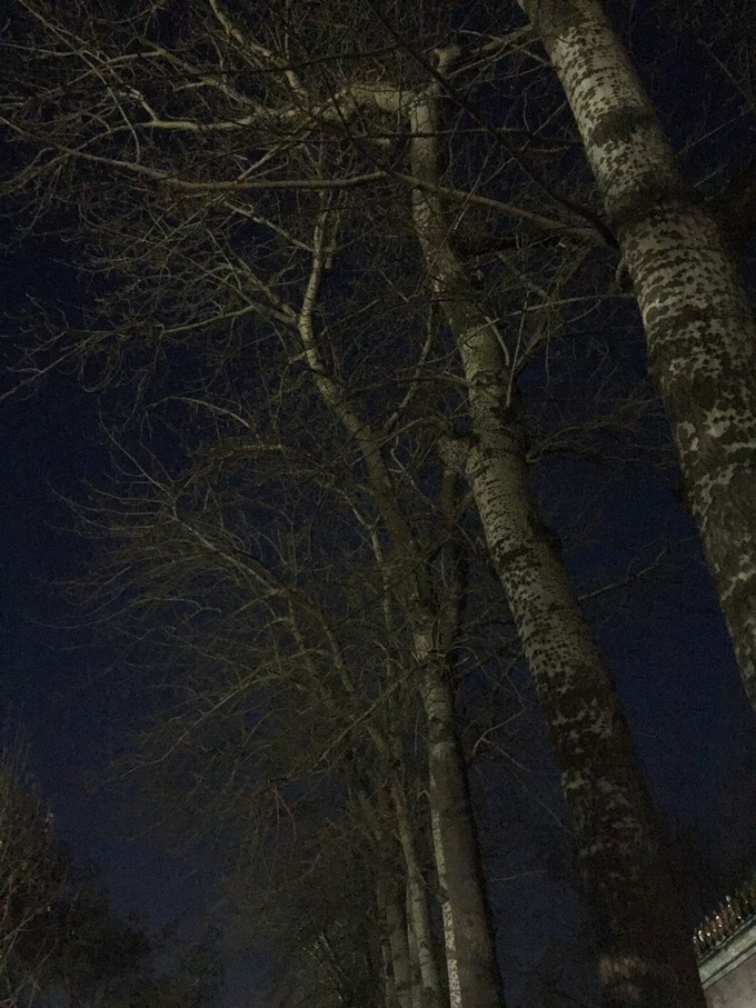 冬天去哪里旅游暖和特色美食,冬季游玩攻略美食推荐