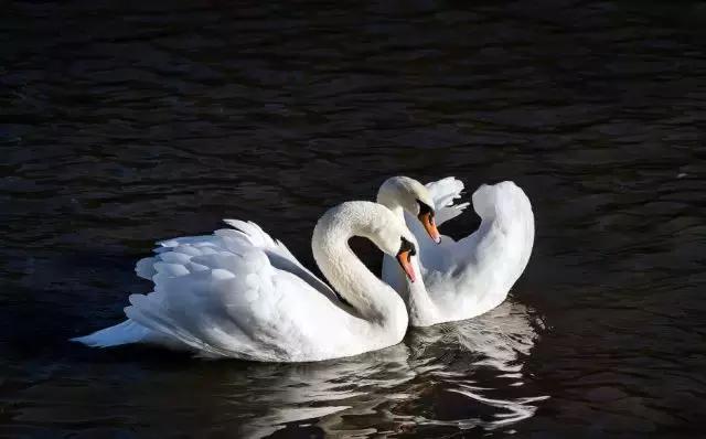 理科生浪漫起来是什么样子 (理科生真的不懂浪漫吗)