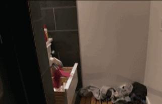 直男杠上Gay天团，是一种怎样的体验？