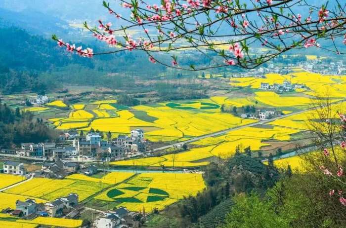 赏花小众景点,发现一处绝美赏花打卡地