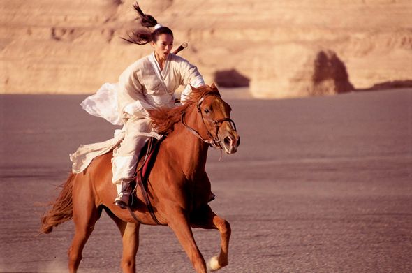 汗血宝马能买几辆兰博基尼,进口宝马和汗血马