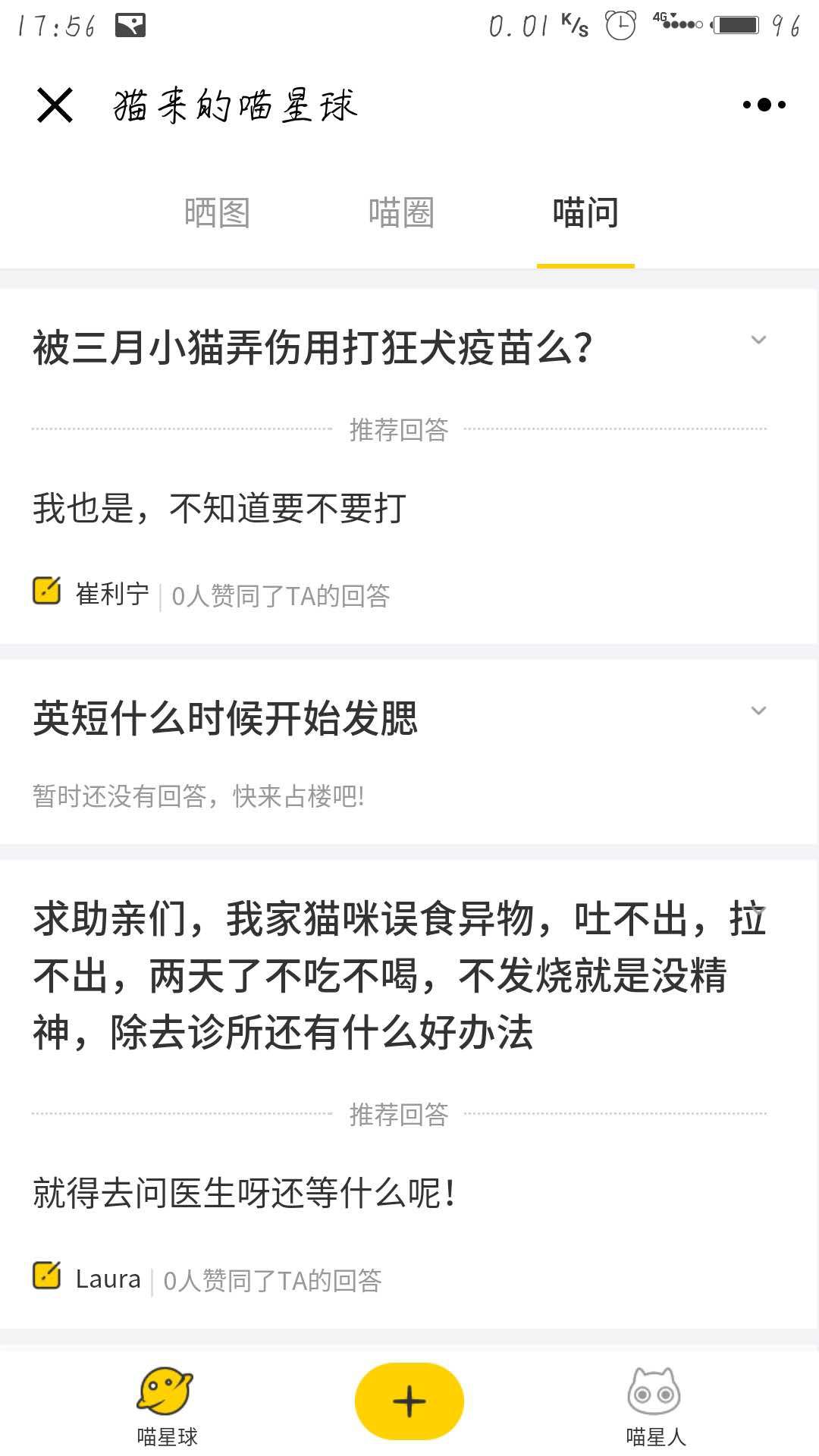 从事和猫相关的工作有什么,猫咪行为咨询师职业