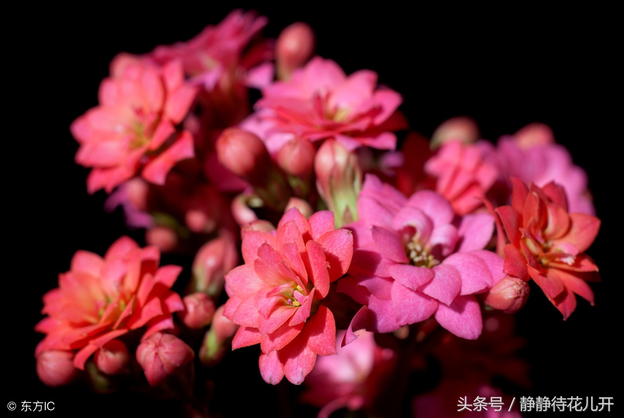 幸福人生格言座右铭励志,幸福励志短句